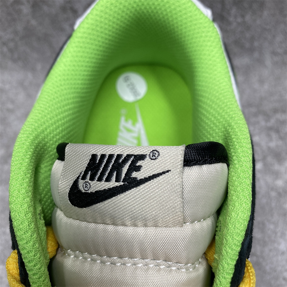 Nike SB Dunk Low