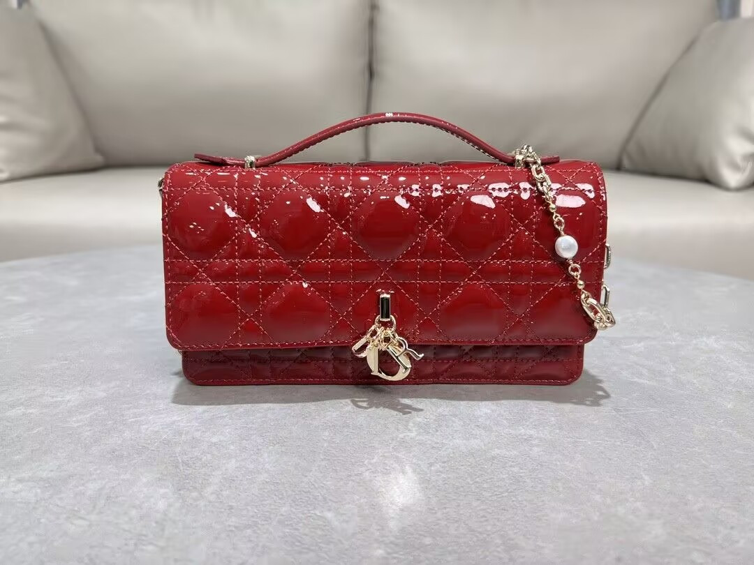 miss D*or mini handbag 21x11.5x4.5cm