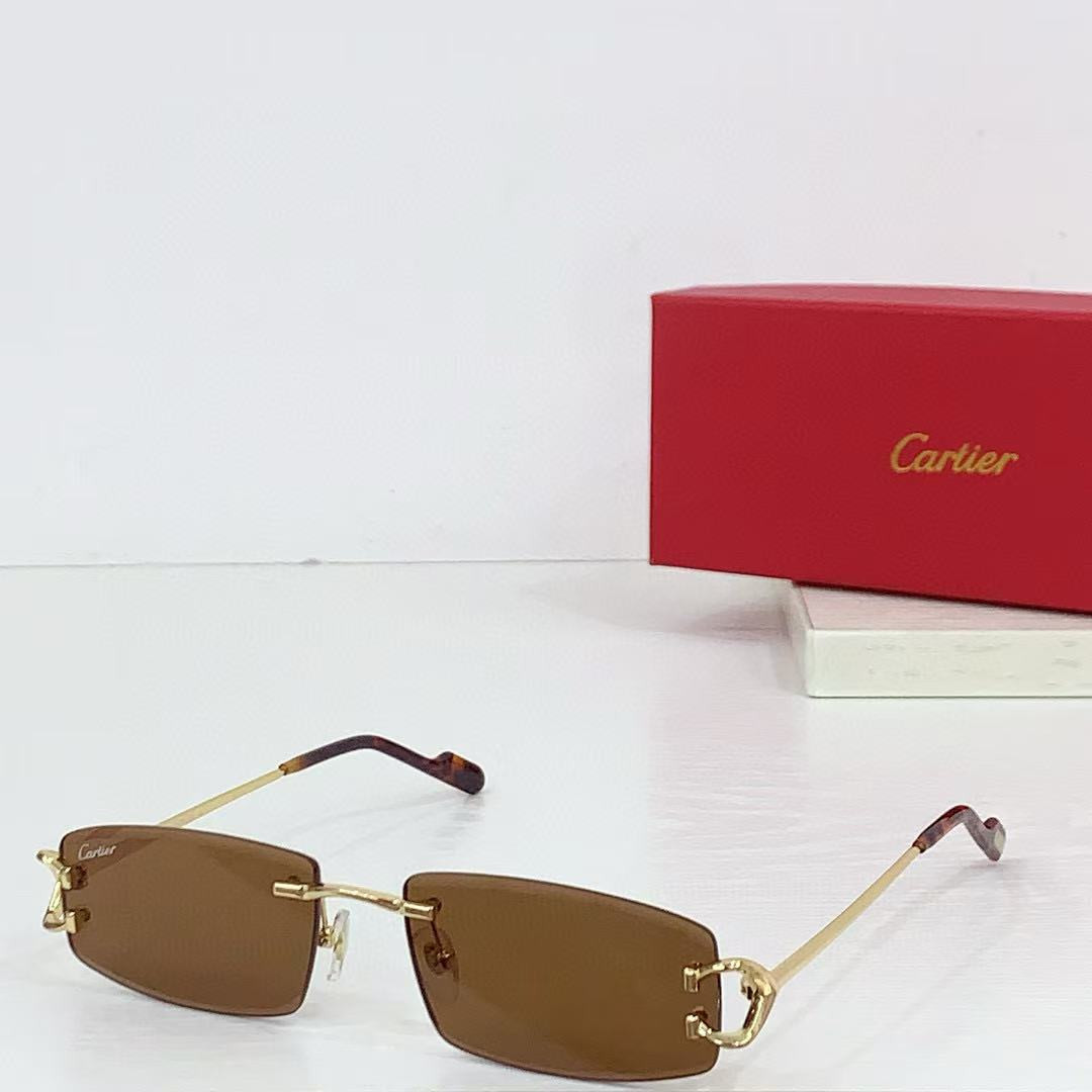 Ca*t*er glasses