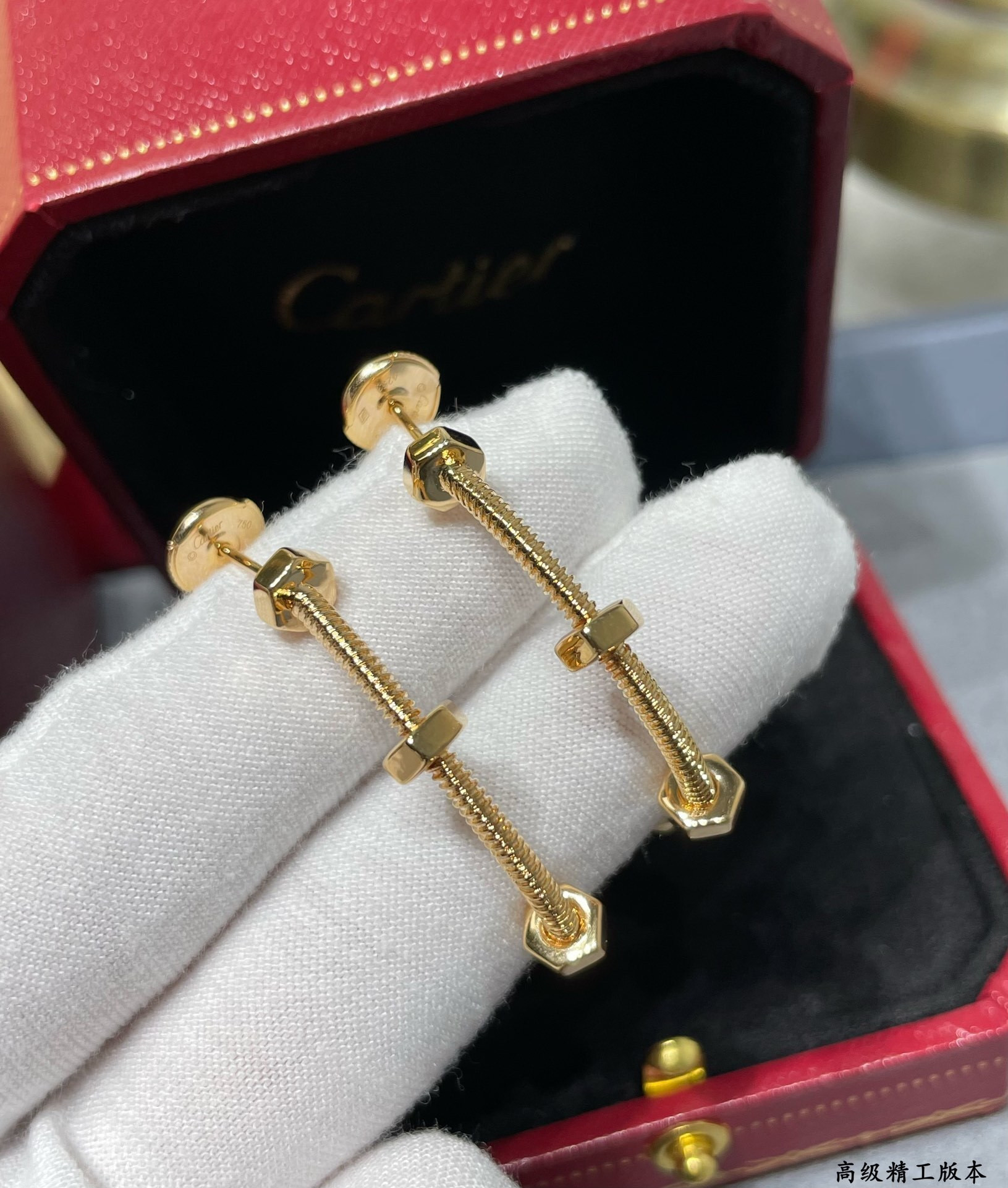 Ca*t*er screw earrings