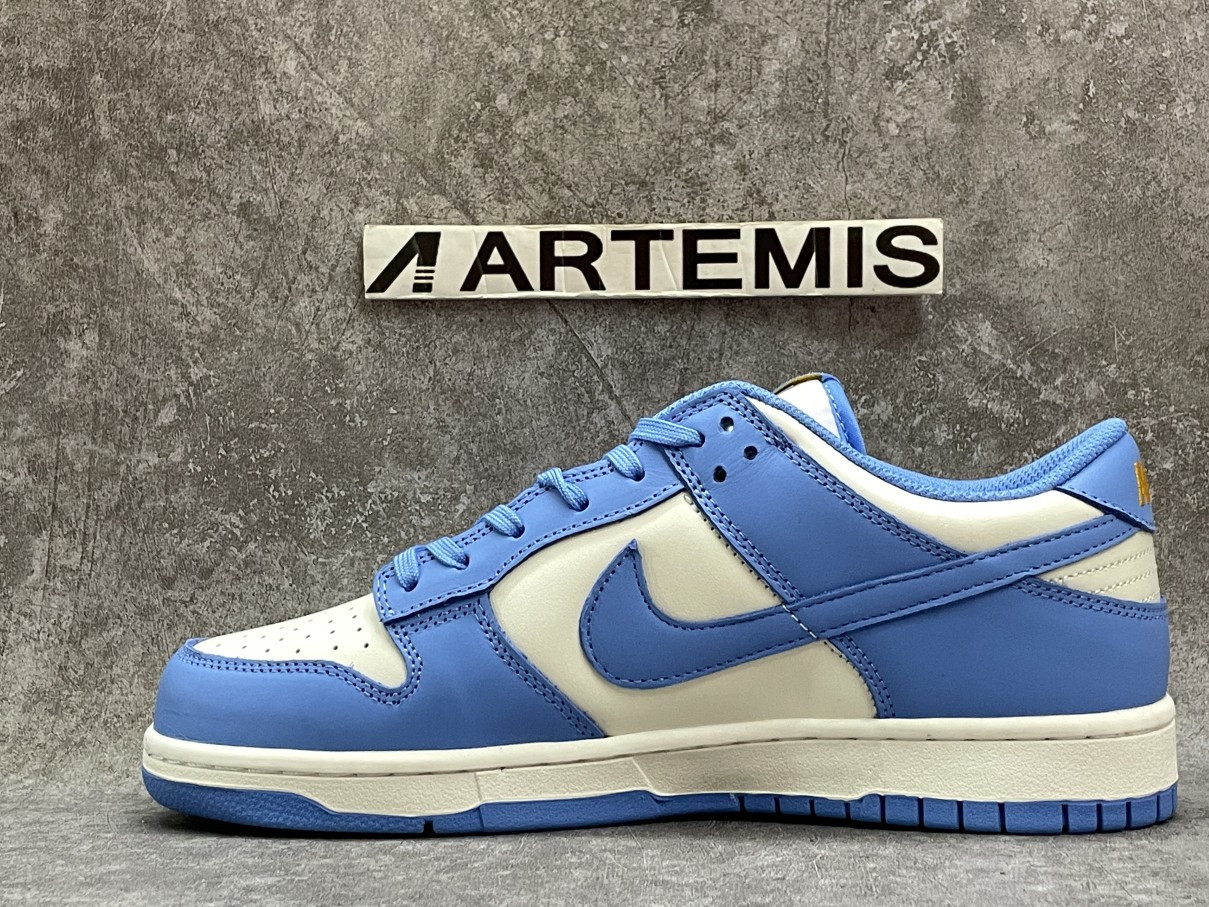 Nike Dunk Low Coast