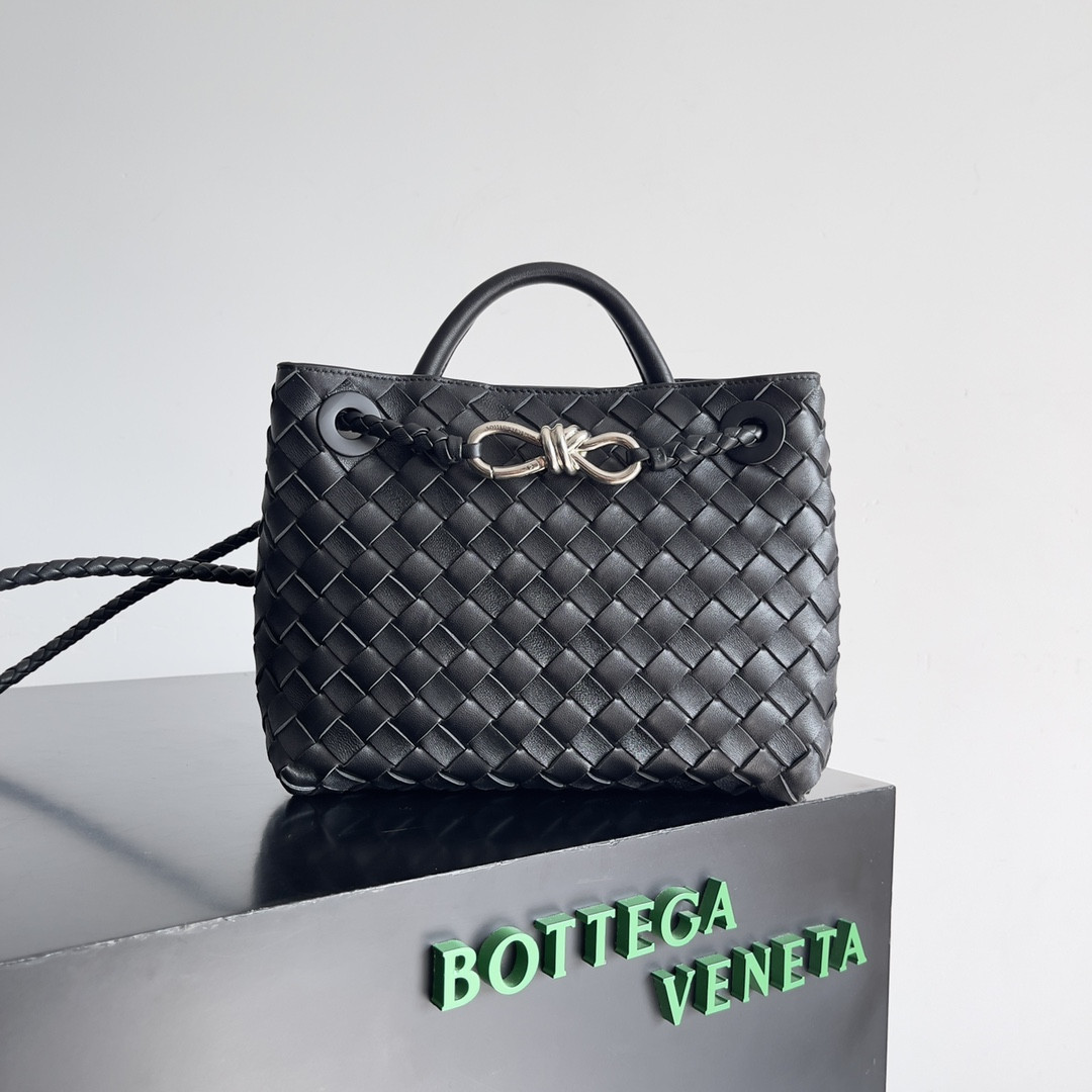 bo*te*ga Ve*ne*ta small andiamo 25x22x10.5cm