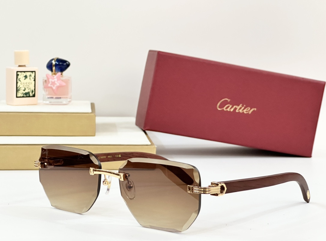 Ca*t*er glasses paris ct0620s