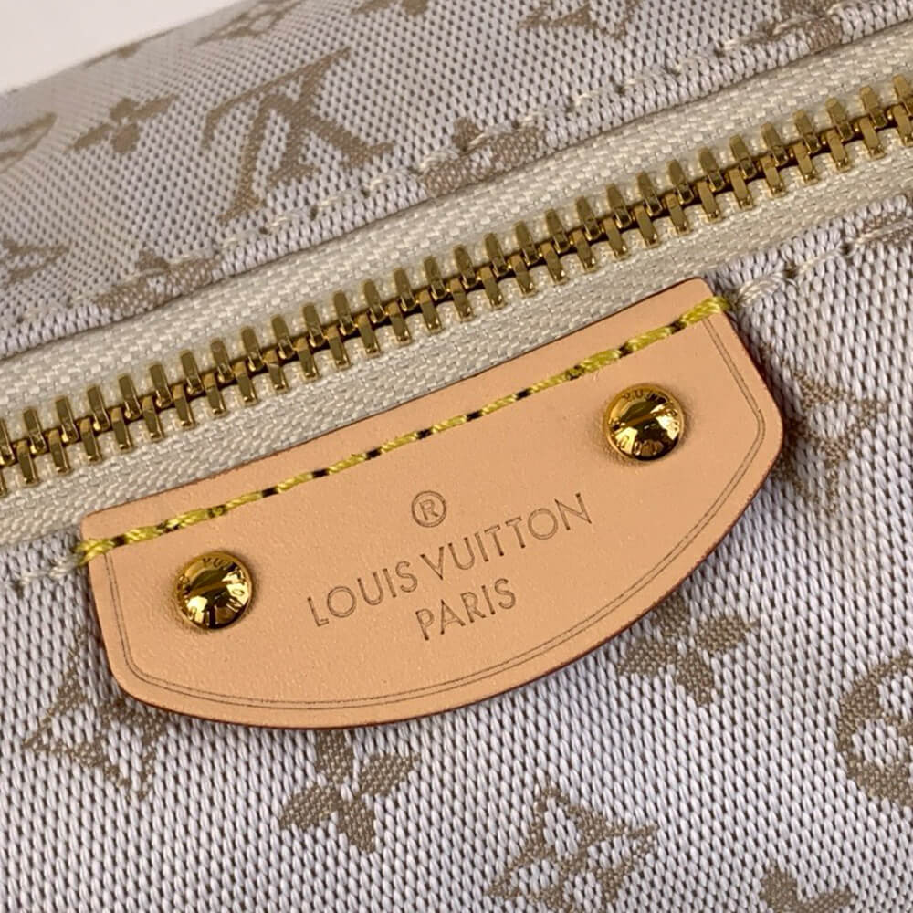 LV Hills Pochette